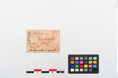 Etiketten zu Perlenkette (NHMW-PRAE-024181)